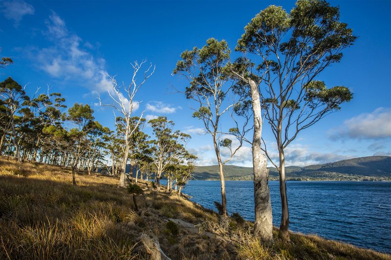 Photo - 48 Youngs Road, North Bruny TAS 7150 - Image 6