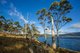 Photo - 48 Youngs Road, North Bruny TAS 7150 - Image 6