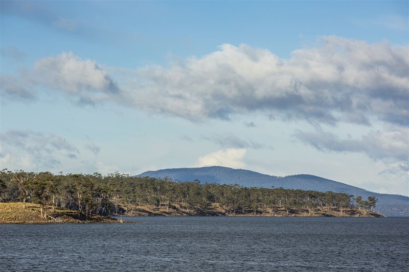 Photo - 48 Youngs Road, North Bruny TAS 7150 - Image 13