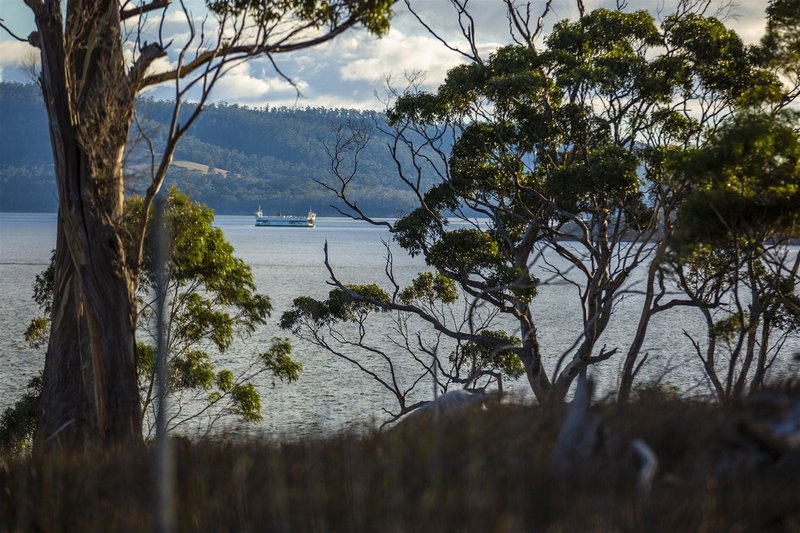 Photo - 48 Youngs Road, North Bruny TAS 7150 - Image 14