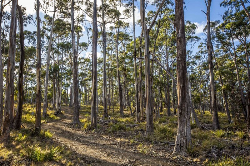 Photo - 48 Youngs Road, North Bruny TAS 7150 - Image 16