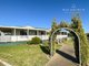Photo - 481 Mitchell Road, Gregadoo NSW 2650 - Image 10