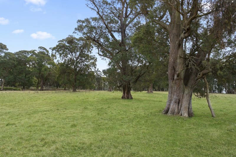 Photo - 482 Gorham Road, Crookwell NSW 2583 - Image 22