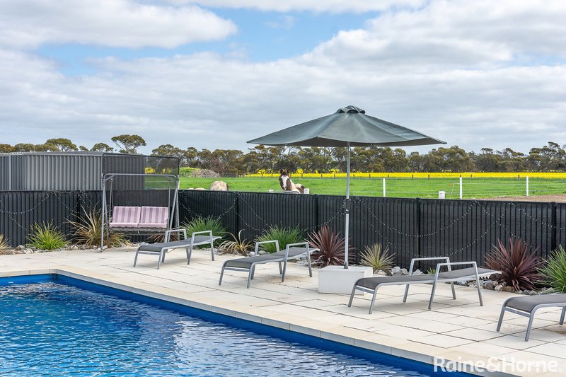 Photo - 482 Nurragi Road, Strathalbyn SA 5255 - Image 4