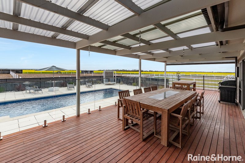 Photo - 482 Nurragi Road, Strathalbyn SA 5255 - Image 17