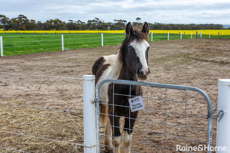 Photo - 482 Nurragi Road, Strathalbyn SA 5255 - Image 24