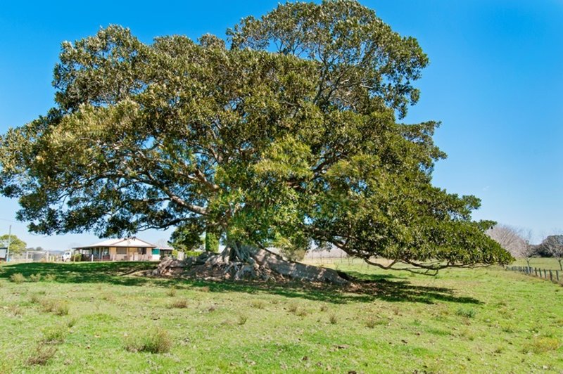 Photo - 482 Sancrox Road, Sancrox NSW 2446 - Image 17