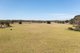 Photo - 485 Black Mountain Road, Black Mountain NSW 2365 - Image 4