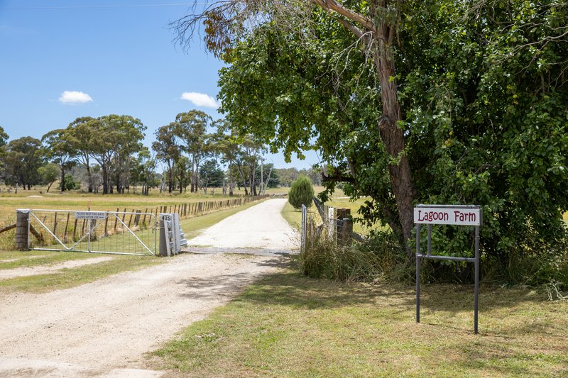 Photo - 485 Black Mountain Road, Black Mountain NSW 2365 - Image 5