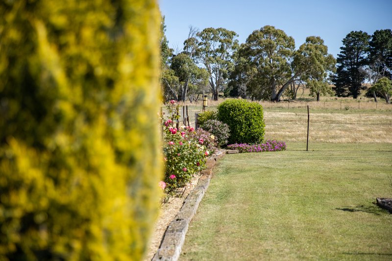 Photo - 485 Black Mountain Road, Black Mountain NSW 2365 - Image 15