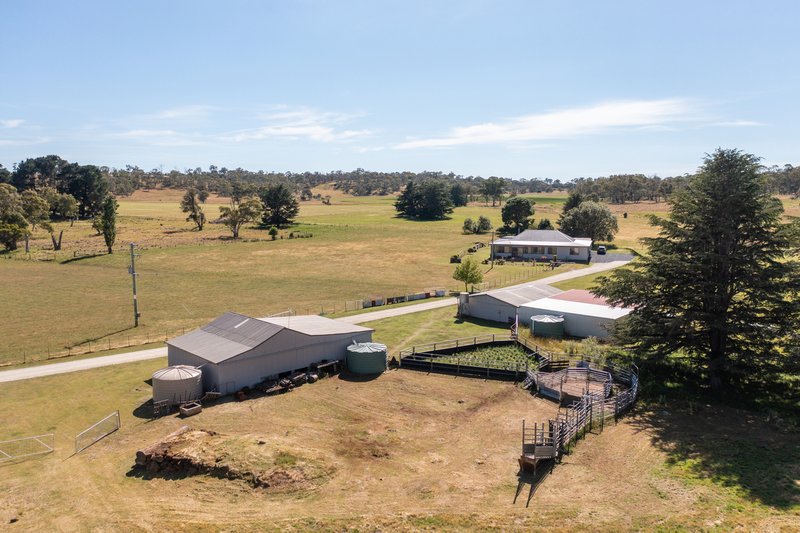 Photo - 485 Black Mountain Road, Black Mountain NSW 2365 - Image 16