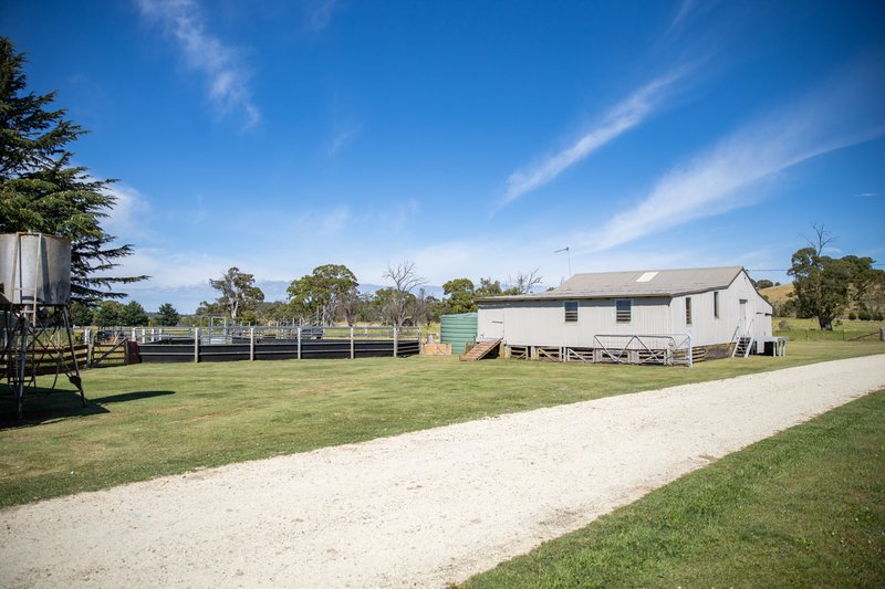 Photo - 485 Black Mountain Road, Black Mountain NSW 2365 - Image 18