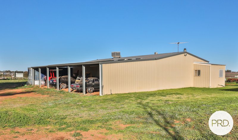 Photo - 485 Fifth Street, Merbein West VIC 3505 - Image 22