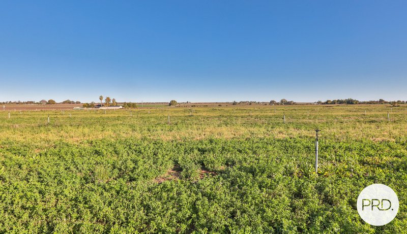 Photo - 485 Fifth Street, Merbein West VIC 3505 - Image 24