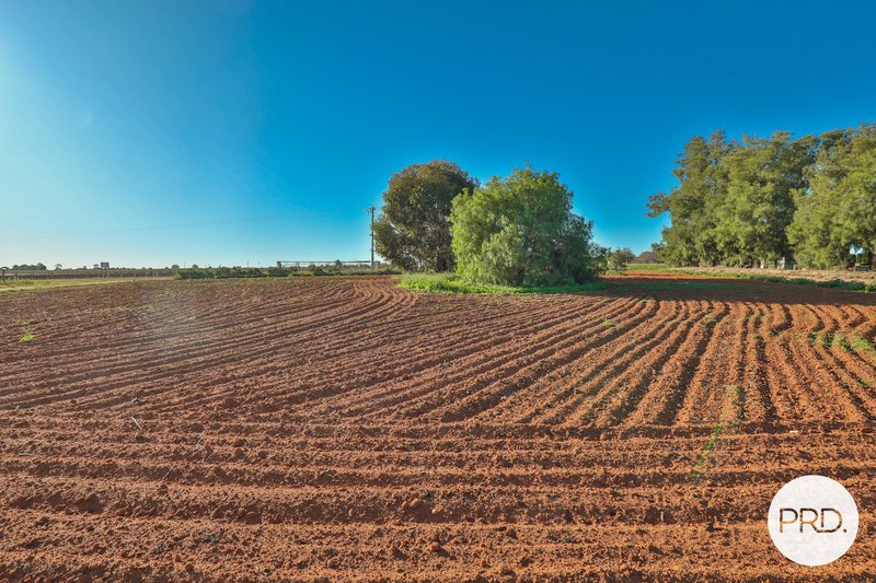 Photo - 485 Fifth Street, Merbein West VIC 3505 - Image 25