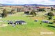 Photo - 485 Mole Creek Road, Red Hills TAS 7304 - Image 3