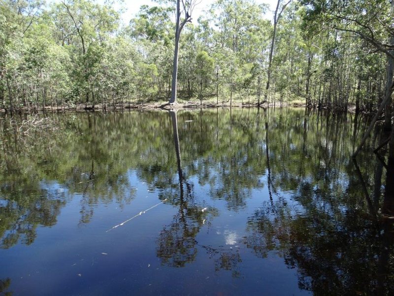 Photo - 486 Cross Road, Euleilah QLD 4674 - Image 3