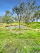 Photo - 487 Palms Road, Cooyar QLD 4402 - Image 34