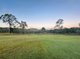 Photo - 487 Palms Road, Cooyar QLD 4402 - Image 35