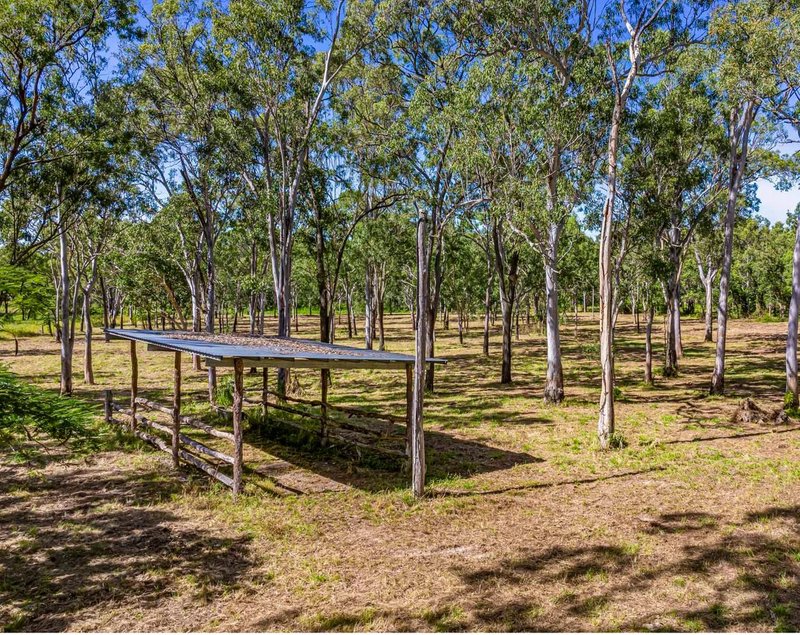 Photo - 487 Tanby Road, Taroomball QLD 4703 - Image 6