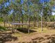 Photo - 487 Tanby Road, Taroomball QLD 4703 - Image 6