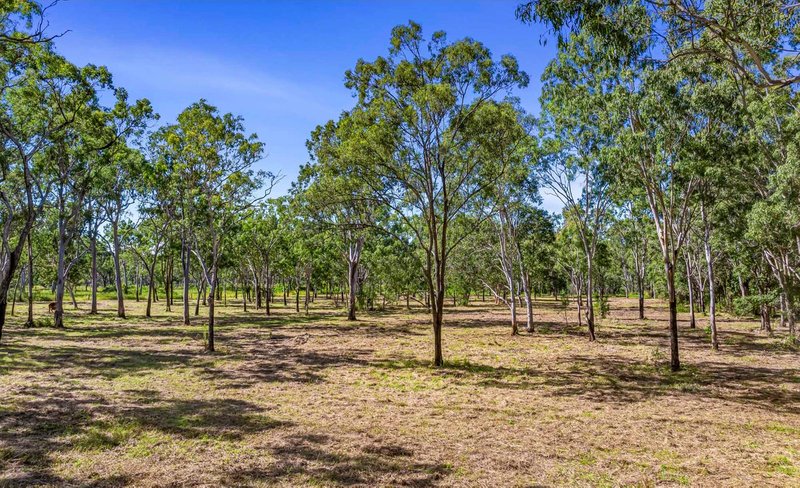 Photo - 487 Tanby Road, Taroomball QLD 4703 - Image 7