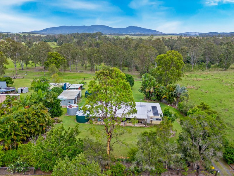 Photo - 488 Forestry Road, Bauple QLD 4650 - Image 4