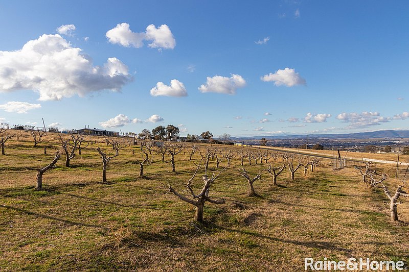 Photo - 489 Conrod Straight , Mount Panorama NSW 2795 - Image 26