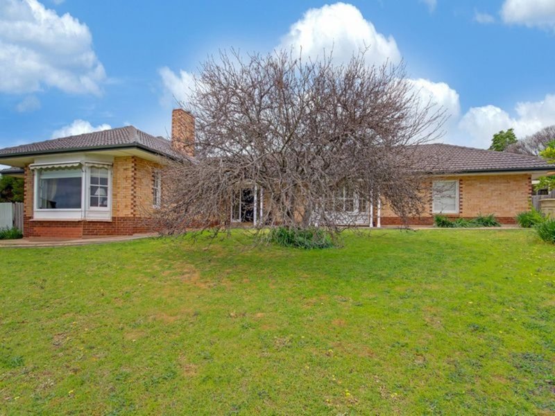 Photo - 489 Kensington Road, Wattle Park SA 5066 - Image 24