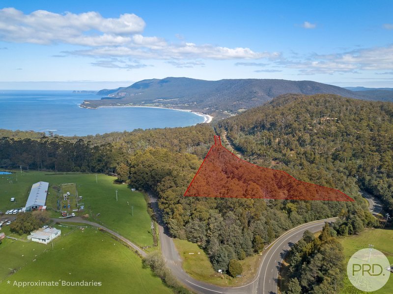 4895 Arthur Highway, Eaglehawk Neck TAS 7179