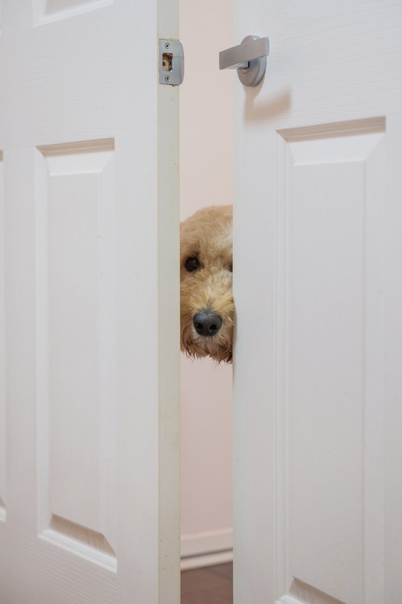 Photo - 4/9-15 Donkin Street, Scarborough QLD 4020 - Image 22