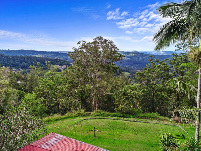 Photo - 49 Balmoral Road, Montville QLD 4560 - Image 2