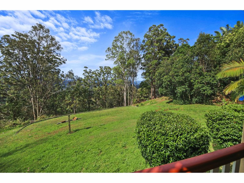 Photo - 49 Balmoral Road, Montville QLD 4560 - Image 5