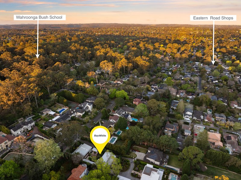 Photo - 49 Billyard Avenue, Wahroonga NSW 2076 - Image 21