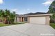 Photo - 49 Blackwood Circuit, Cameron Park NSW 2285 - Image 1