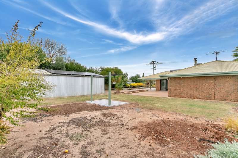 Photo - 49 Borrow Street, Freeling SA 5372 - Image 21