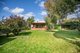 Photo - 49 Brigalow Avenue, Kensington Gardens SA 5068 - Image 3