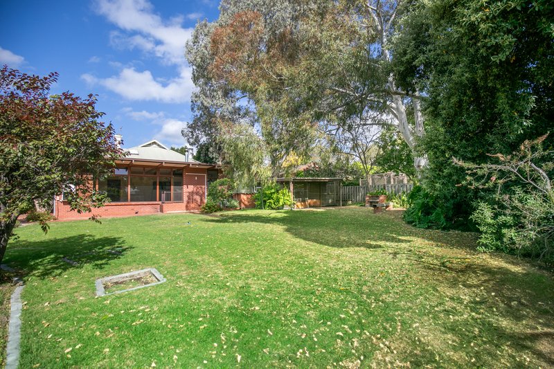 Photo - 49 Brigalow Avenue, Kensington Gardens SA 5068 - Image 14