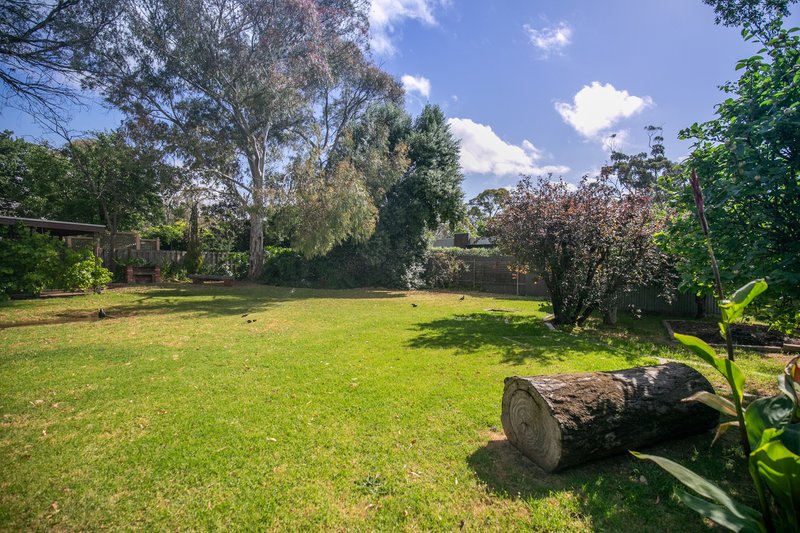 Photo - 49 Brigalow Avenue, Kensington Gardens SA 5068 - Image 17