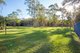 Photo - 49 Carriage Way, Cooroibah QLD 4565 - Image 19