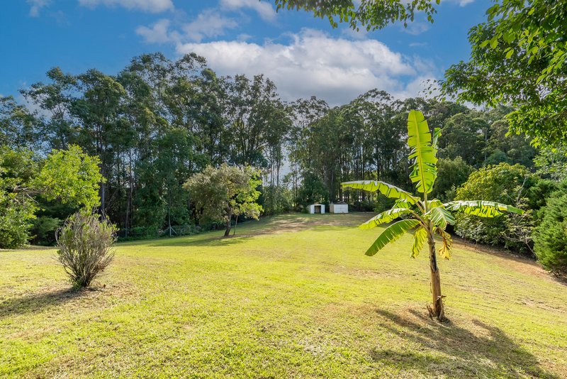 Photo - 49 Christensens Rd , Hunchy QLD 4555 - Image 16