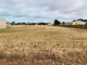 Photo - 49 Crutchett Road, Moonta SA 5558 - Image 3