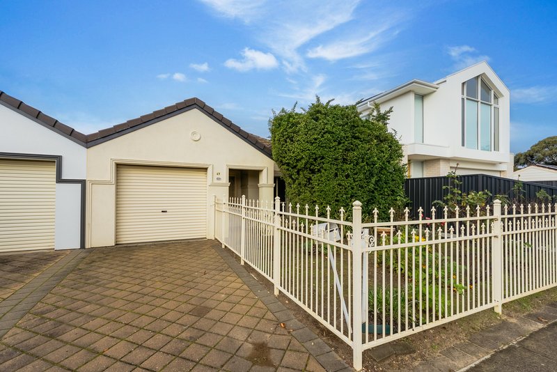 Photo - 49 Curzon Street, Camden Park SA 5038 - Image 12