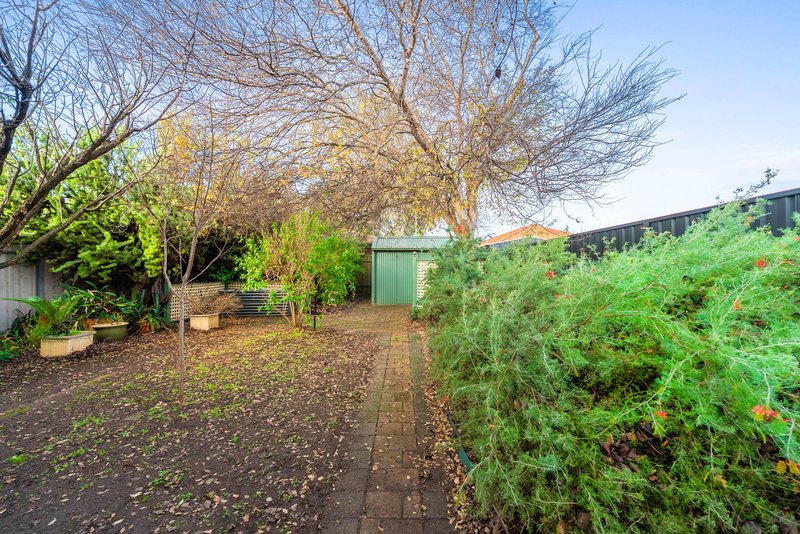 Photo - 49 Curzon Street, Camden Park SA 5038 - Image 15
