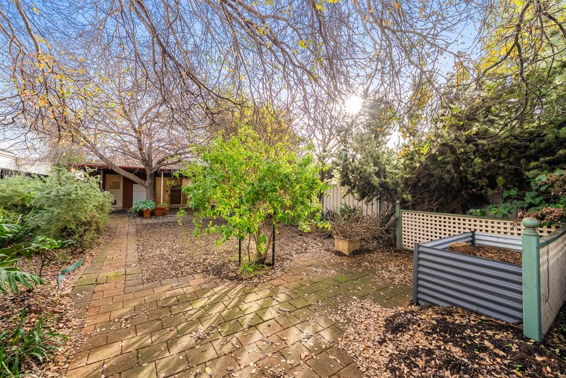 Photo - 49 Curzon Street, Camden Park SA 5038 - Image 16