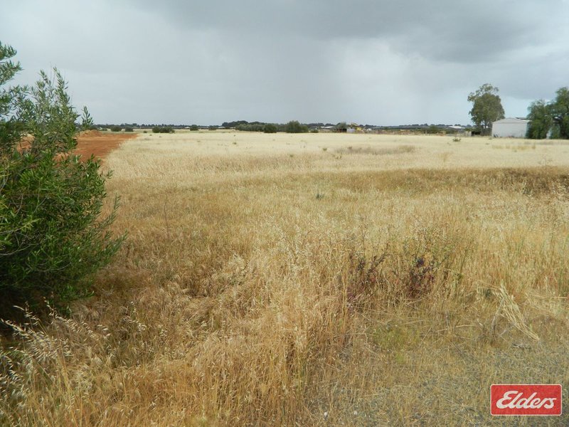 Photo - 49 De Mannu Road, Munno Para Downs SA 5115 - Image 6