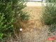 Photo - 49 De Mannu Road, Munno Para Downs SA 5115 - Image 16