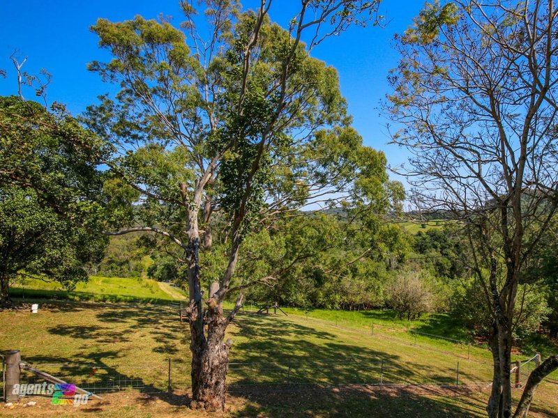 Photo - 49 Gate Road, Canina QLD 4570 - Image 13