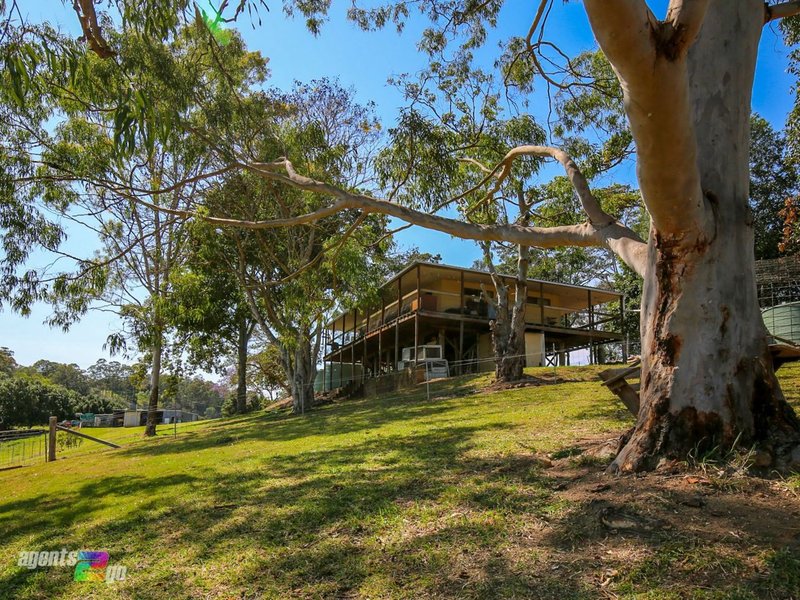 Photo - 49 Gate Road, Canina QLD 4570 - Image 20