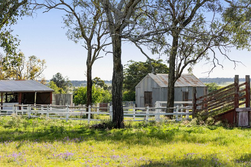 Photo - 49 Harelmar Road, Southbrook QLD 4363 - Image 14